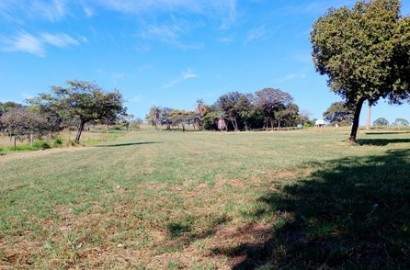 Cód: 20 - Fazendinha á Venda no Quintas da Fazendinha - Matozinhos - MG.