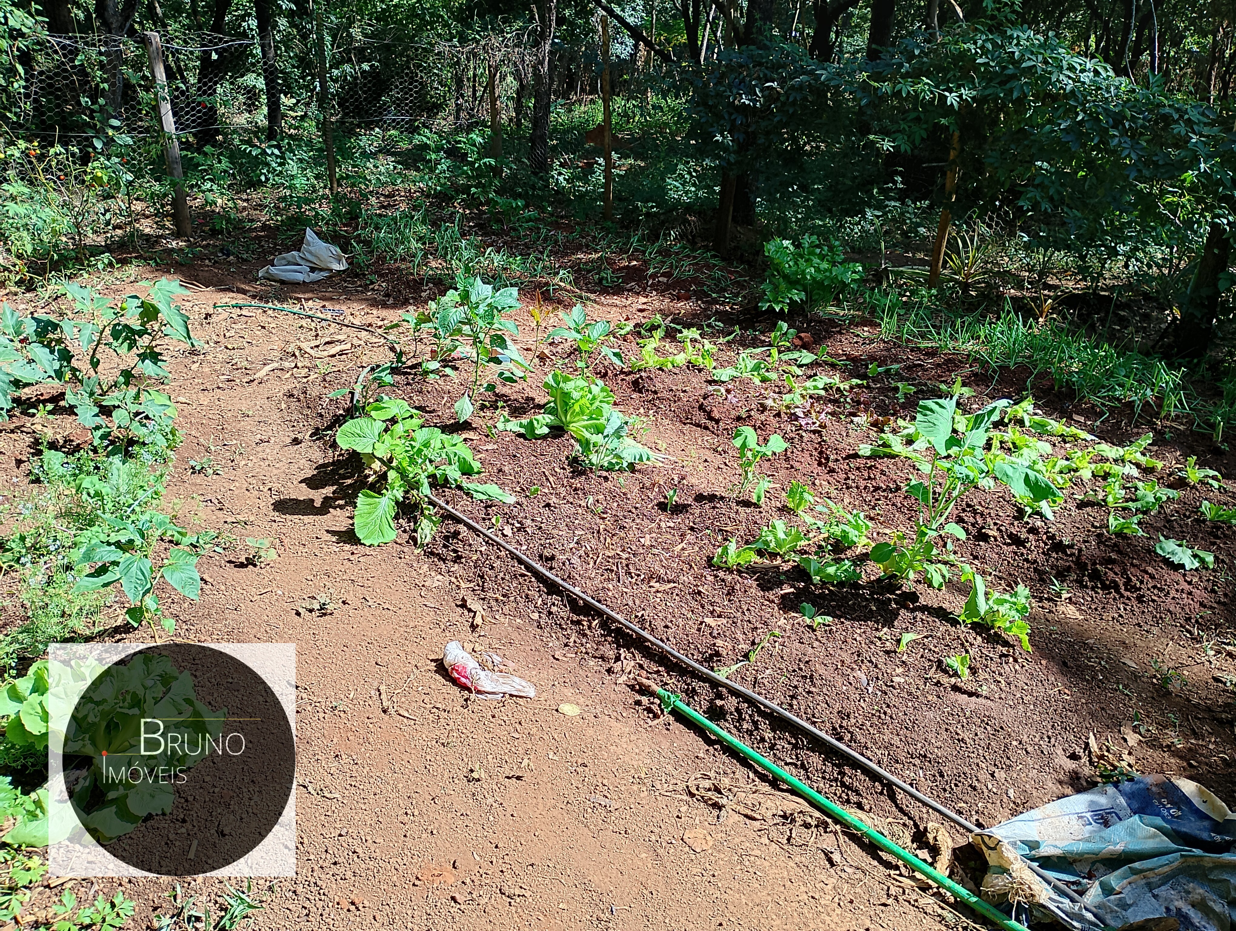 Cód.:48 - BELA CASA DE MADEIRA Á VENDA - MATOZINHOS - MG